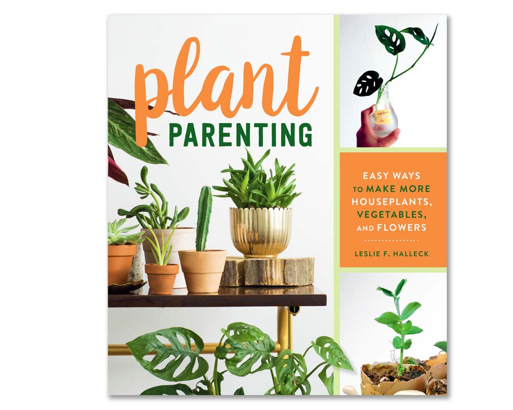 Plant Parenting - Leslie Halleck