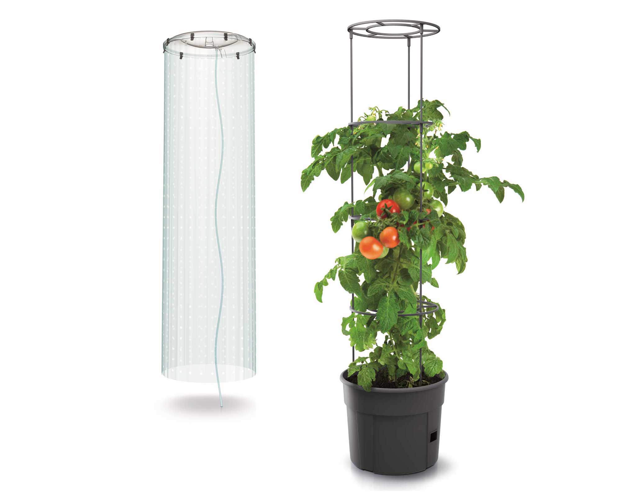 Protector Slips Over The Stand To Protect Your Plant