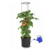 Tomato Grower Stand - Where to Water Roots
