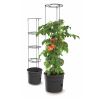 Tomato Grower Stand