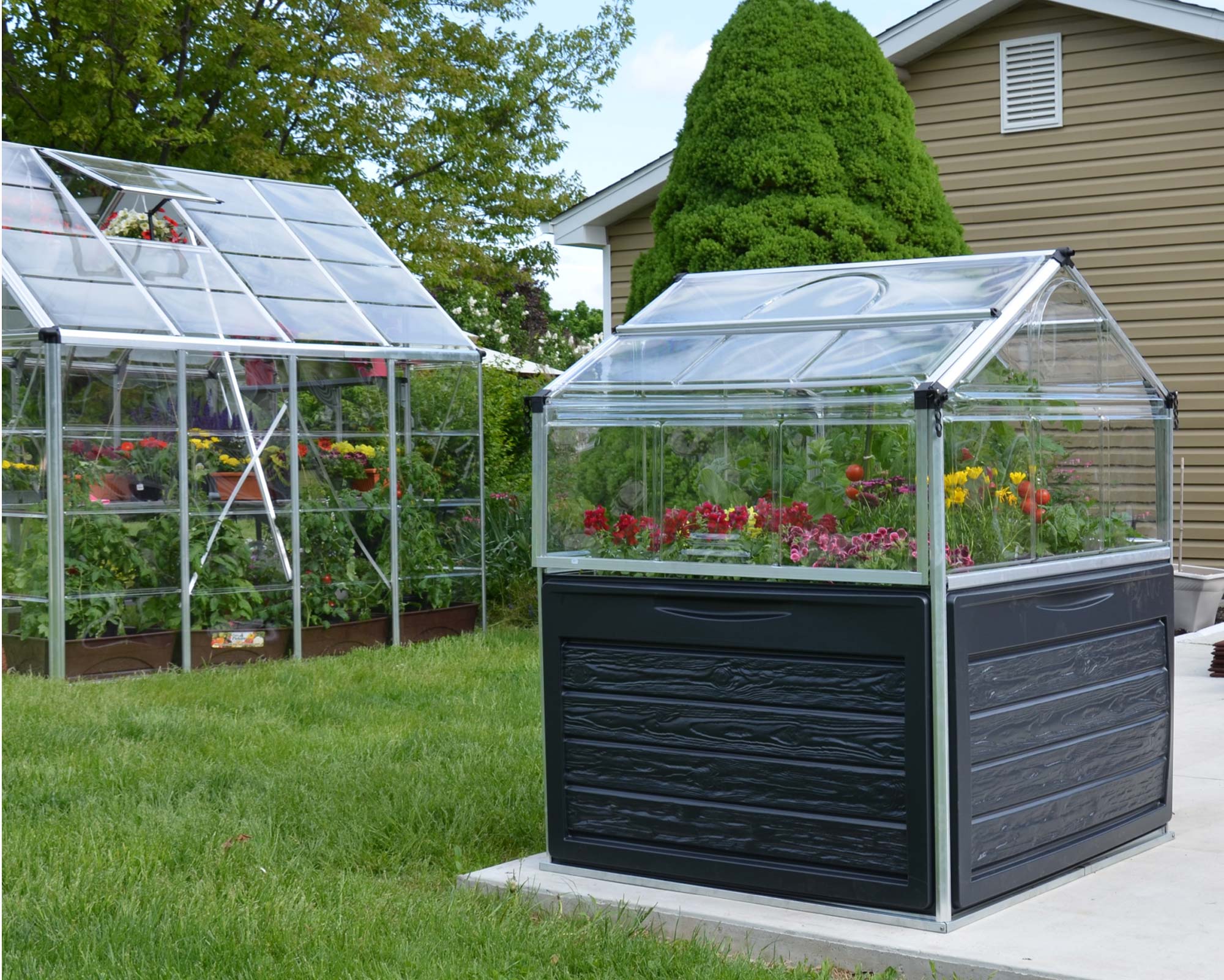 Plant Inn - Mini Greenhouse