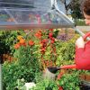 Easily Accessible - Plant Inn - Mini Greenhouse