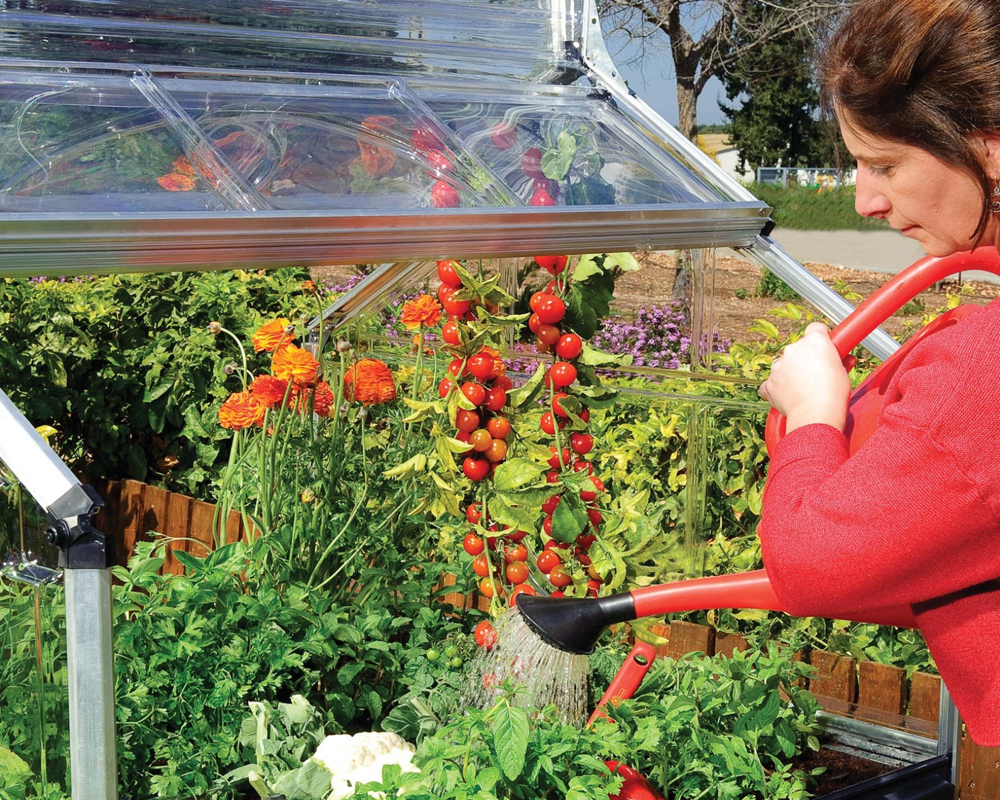 Easily Accessible - Plant Inn - Mini Greenhouse