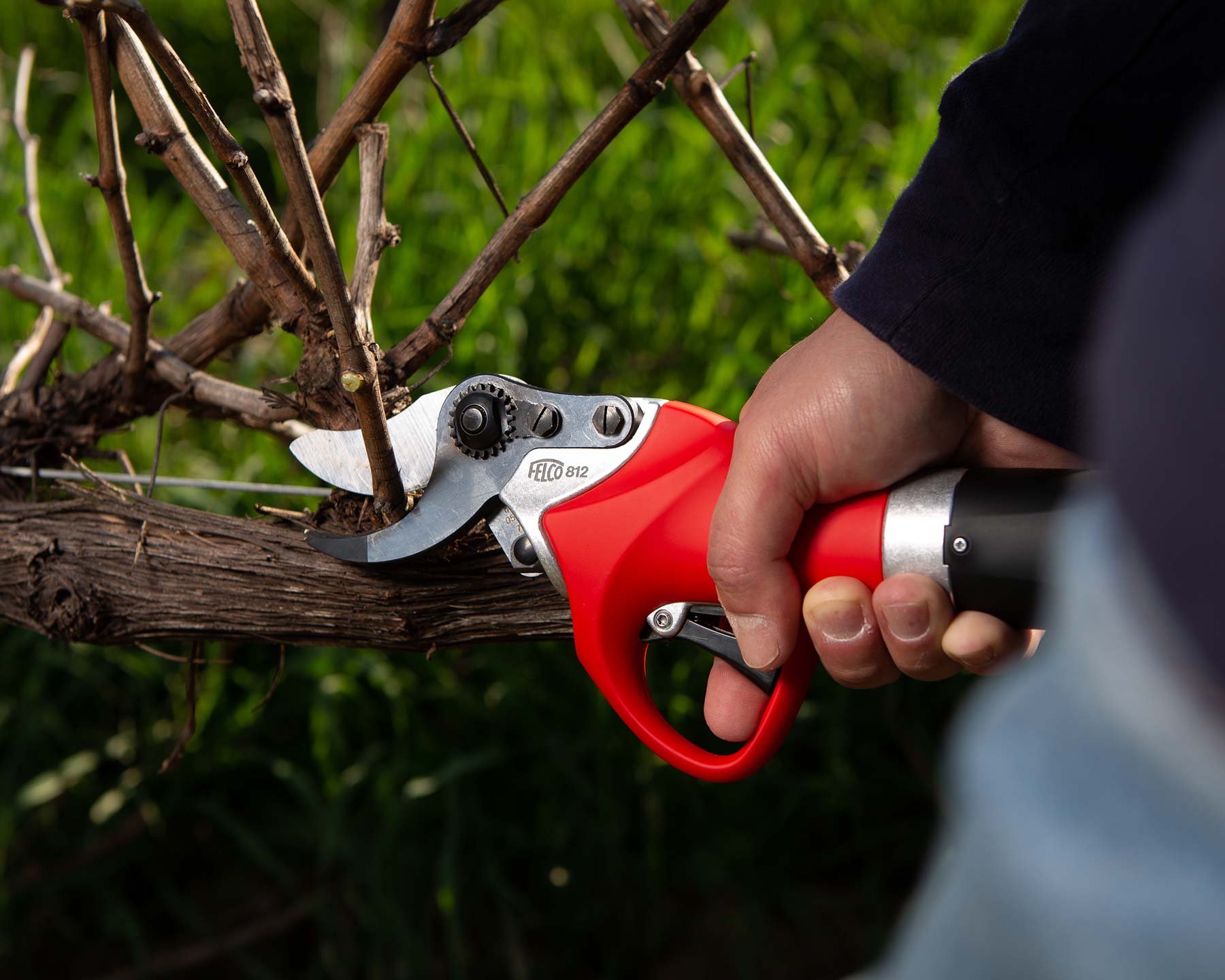 Felco 812 Powerblade electric pruning shears cut through branches up to 35mm in diam
