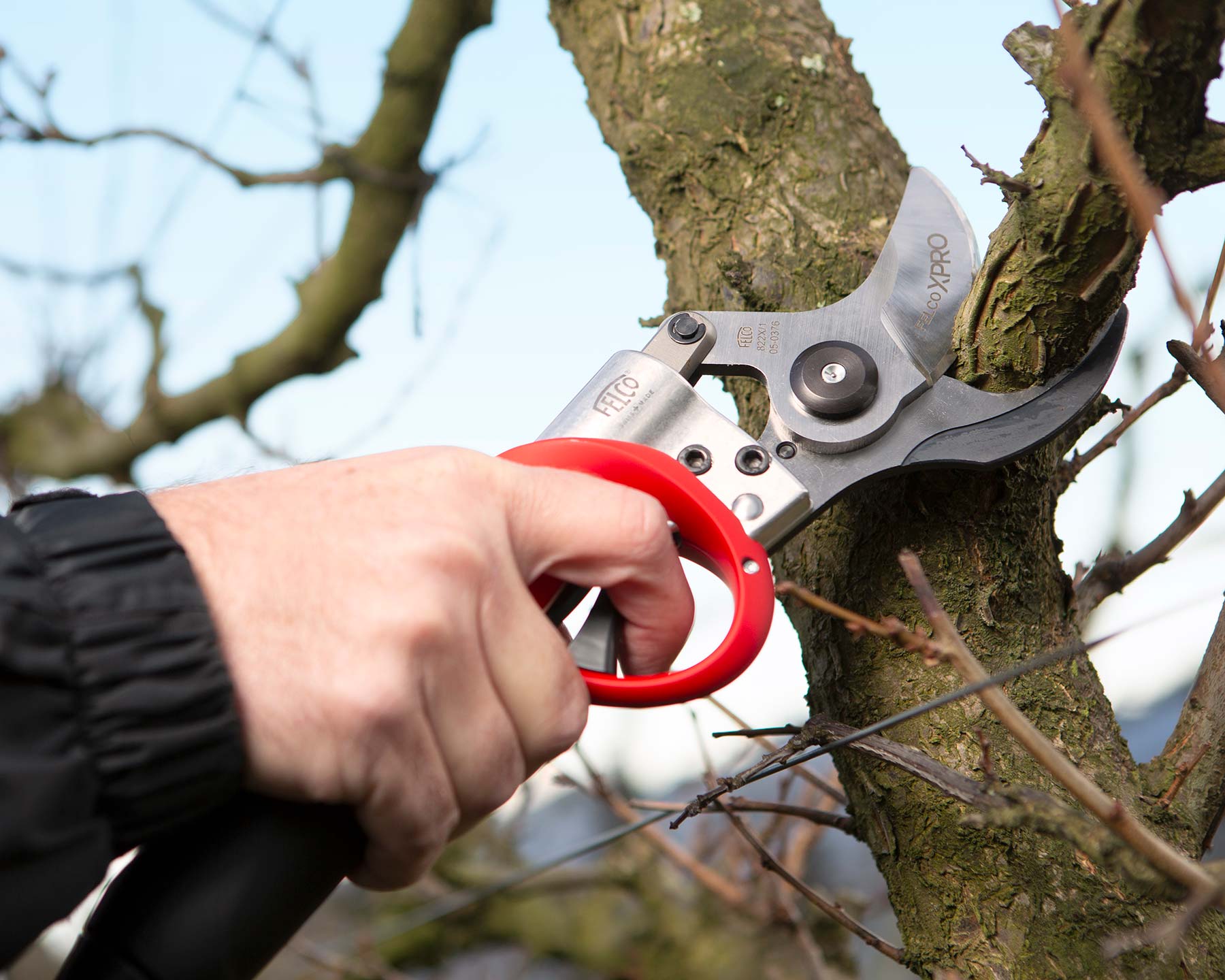 Felco 822 Powerblade will cut through branches up to 45mm in diameter