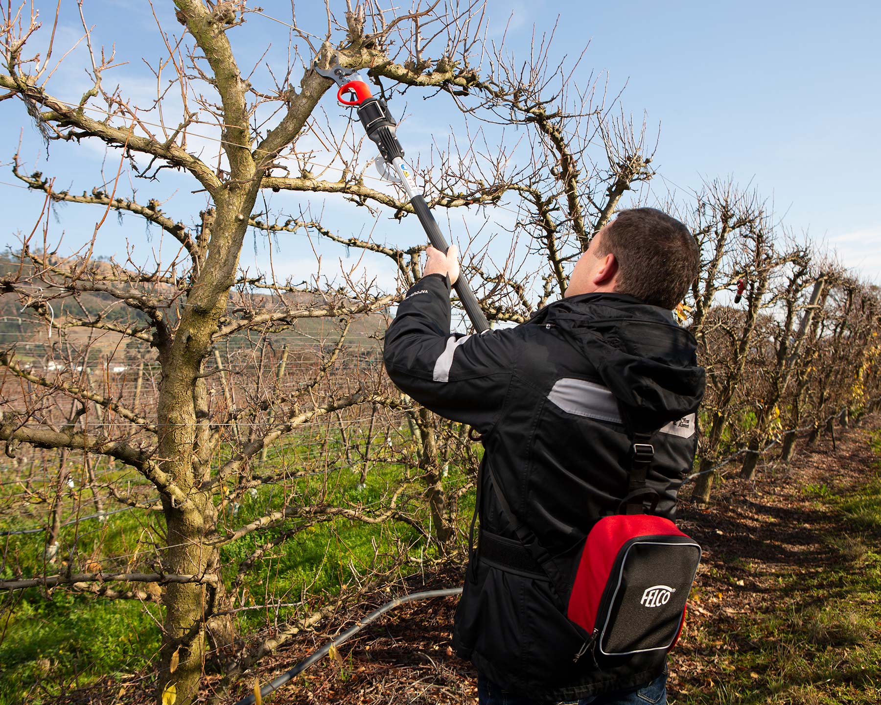 Felco 822 Powerblade electric pruning shears - the extension pole makes pruning higher branches quick and efficient