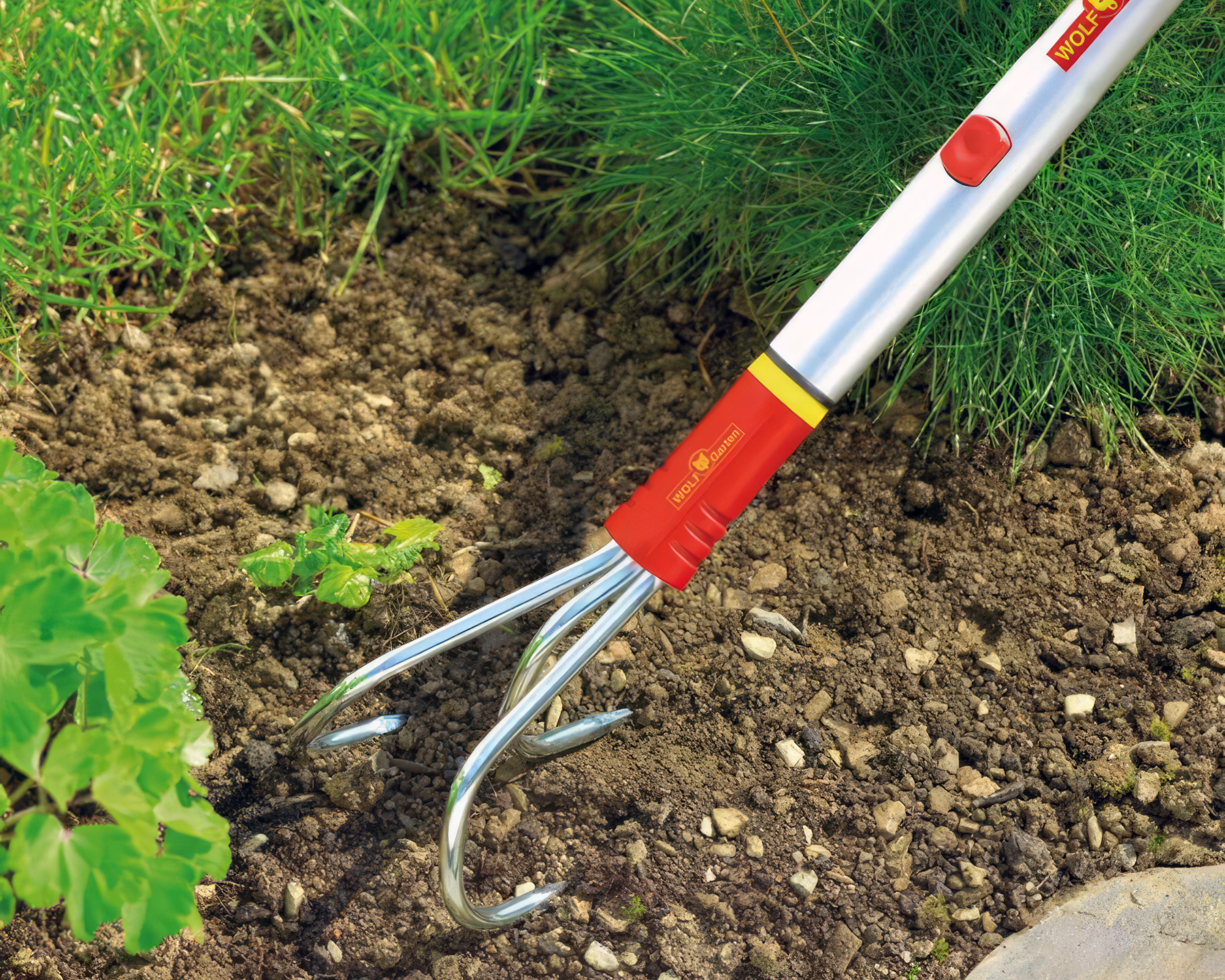 Wolf 3 tine cultivator (BE-M)