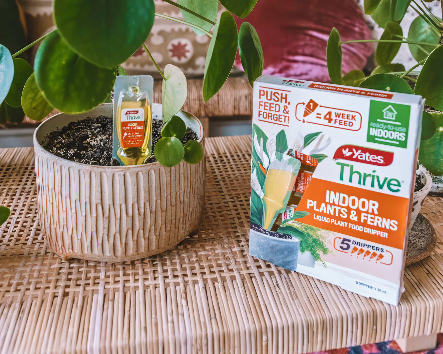 Thrive Indoor Plant Food Drippers