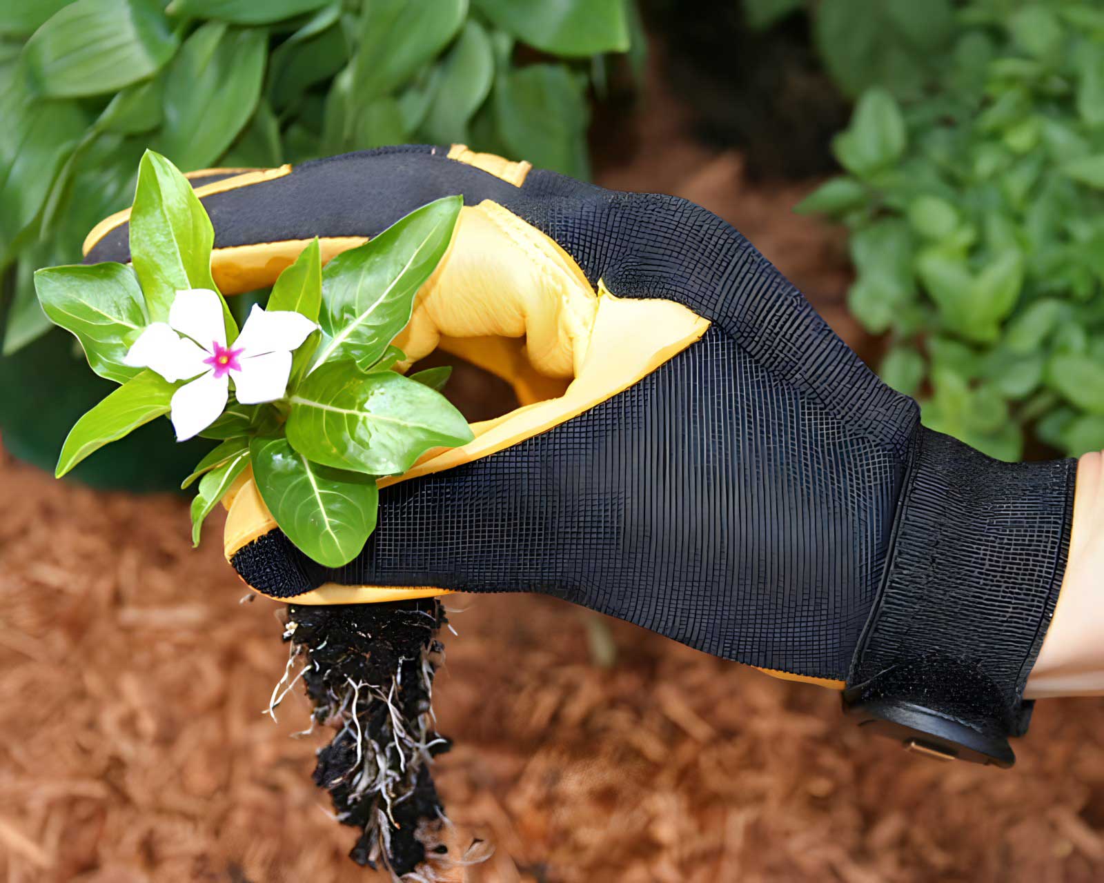 Soft Touch Garden Gloves by Gold Leaf of the UK