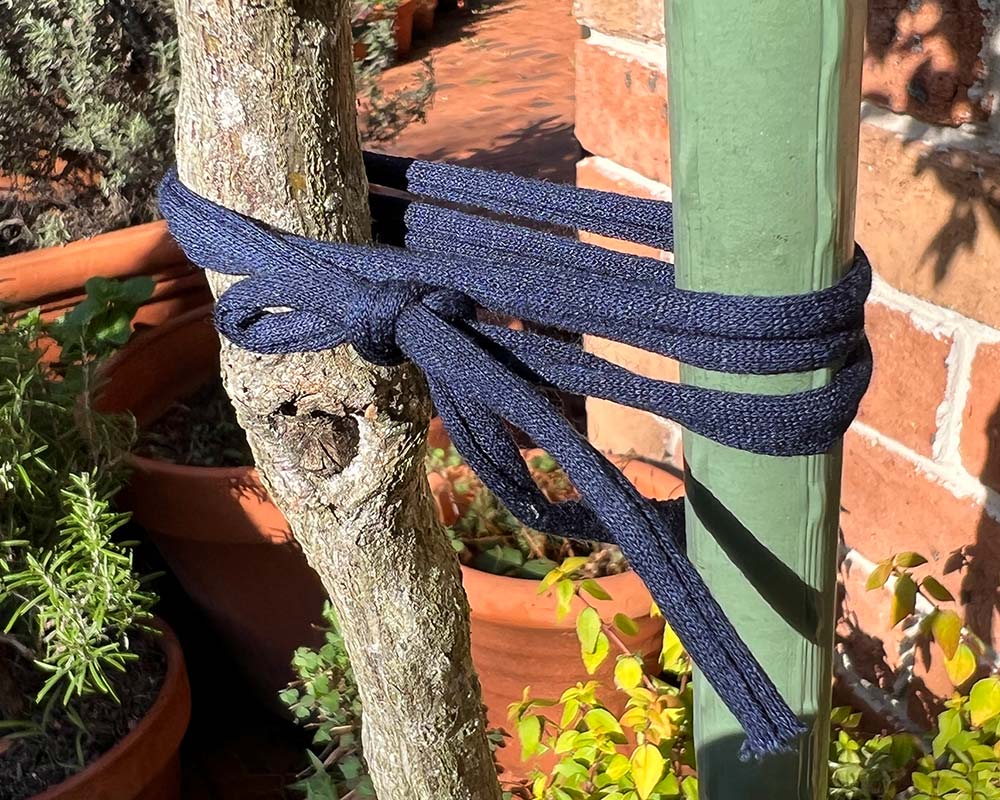 Jolly tree Ties - strong, soft and stretchy