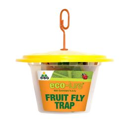 Eco-Lure Male Fruit Fly Trap