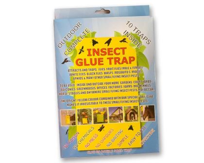 Insect Glue Trap - the pack