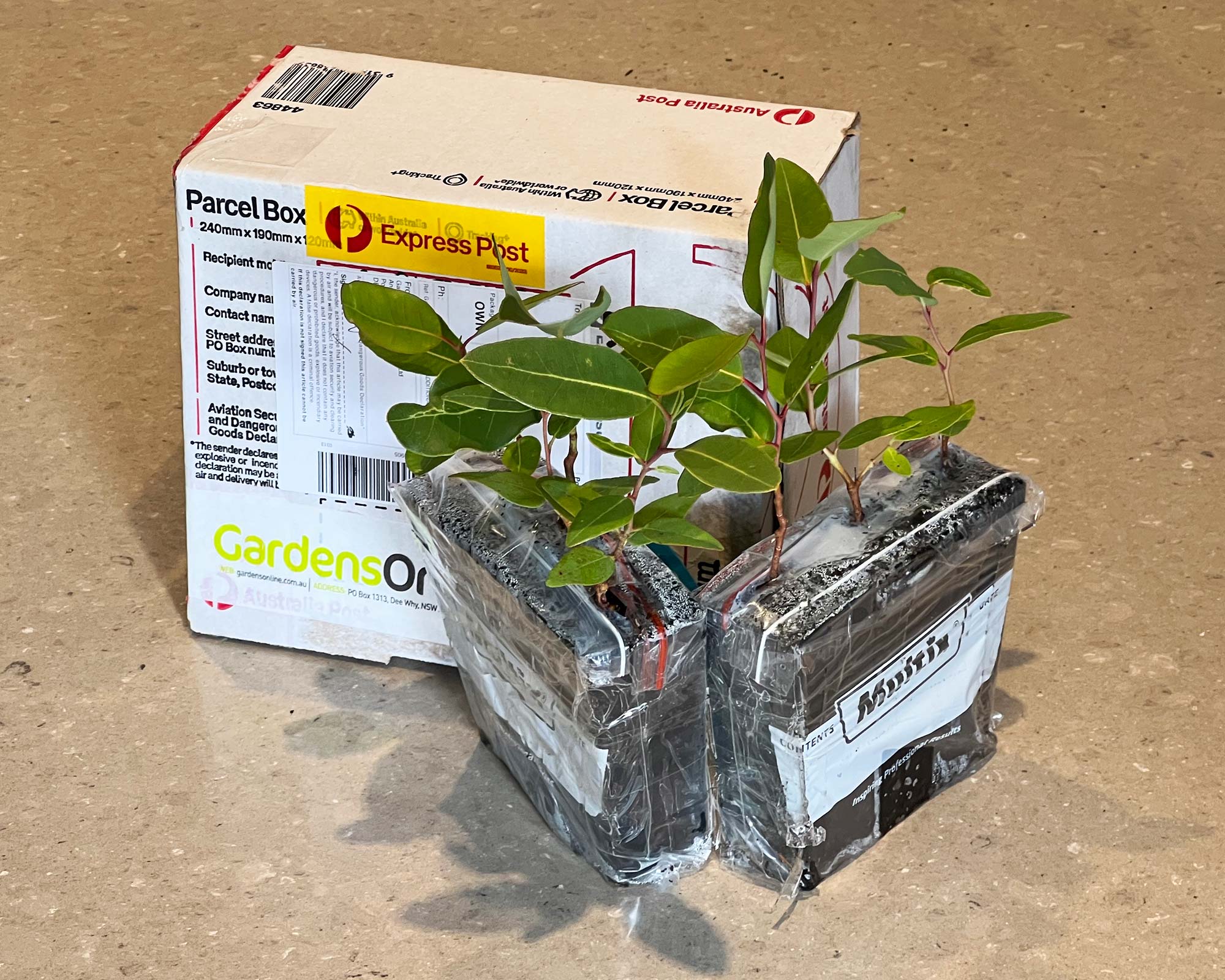 Packaged plants are sent by Express Post