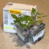 Packaged plants sent by Express Post