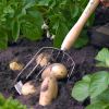 Potato Harvesting Scoop