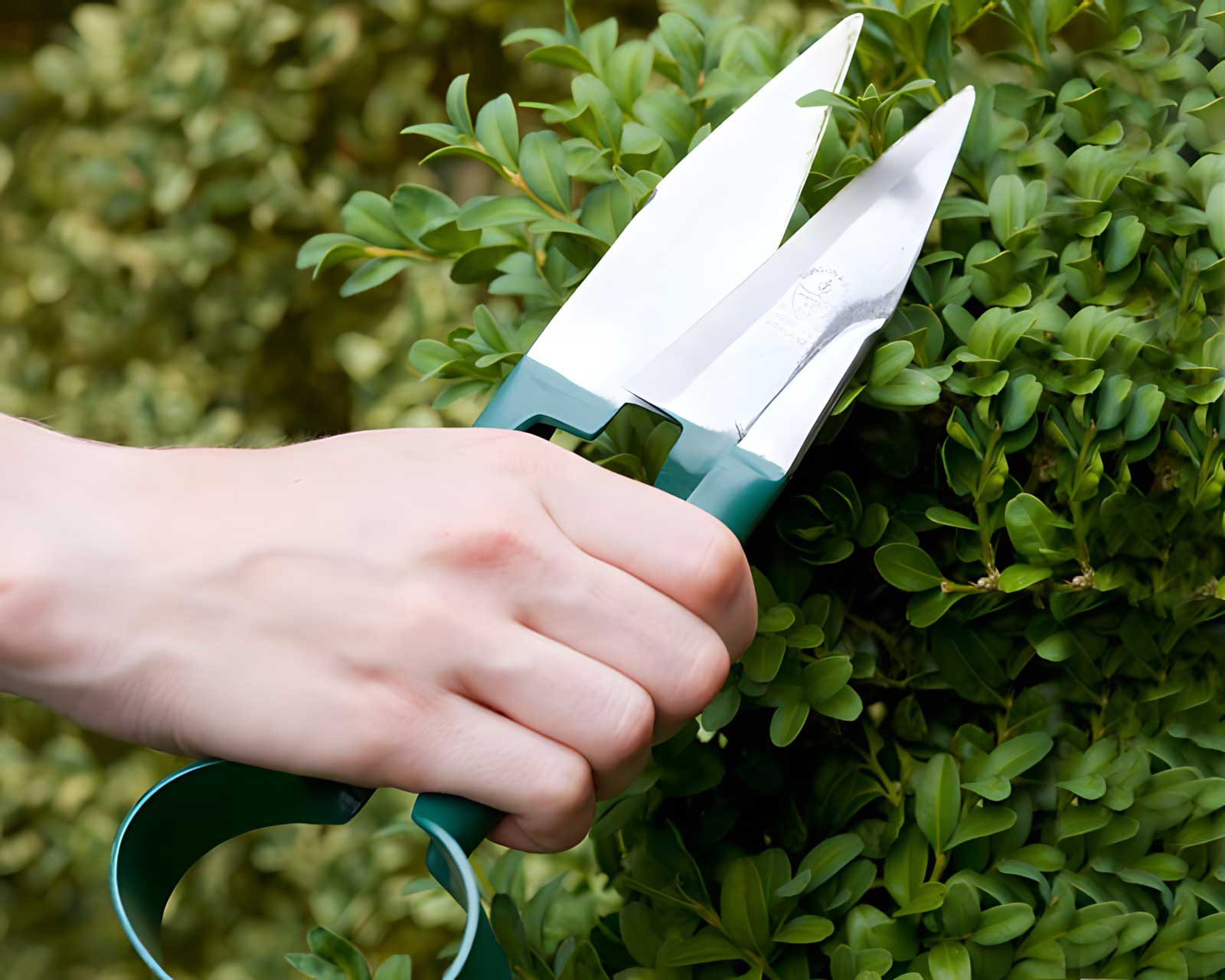 Easy to use topiary trimming shears
