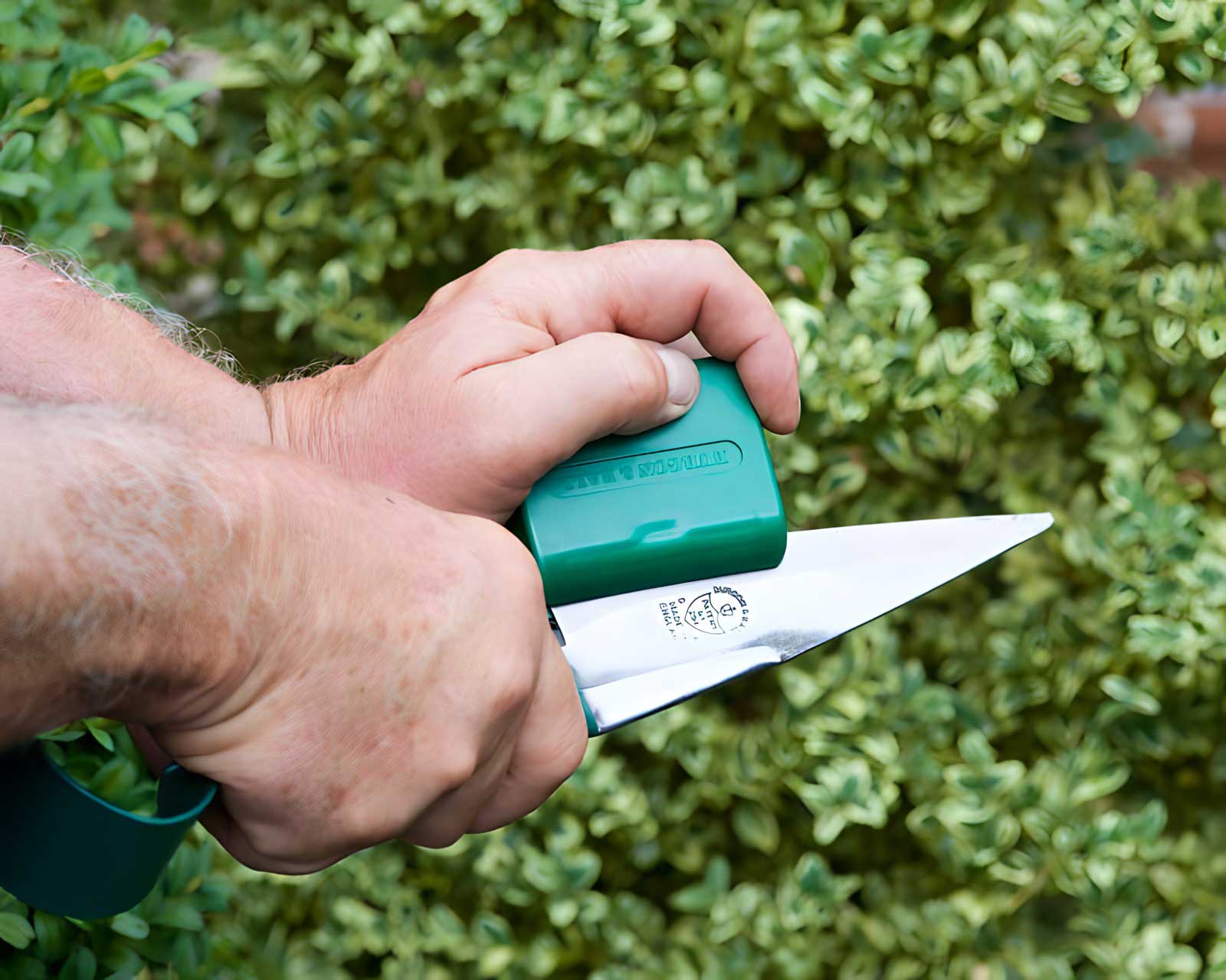 The Topiary Trimming Shear Sharpener is easy to use.