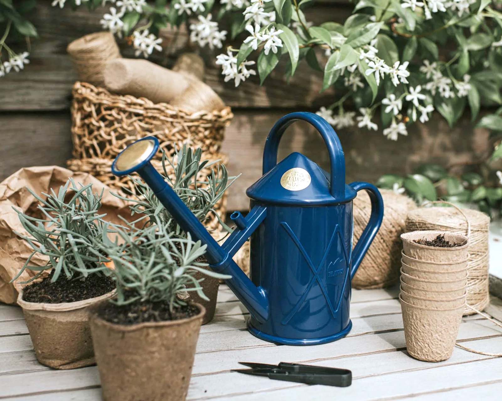 Bartley Burbler 1 litre watering can in Blue - by Haws