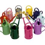 The Bartley Burbler Watering Can 2 Pint (1L)  - Haws