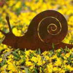 Snail - decorative garden art.  