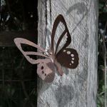 Wall Butterfly decorative garden art.