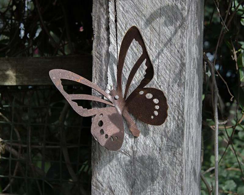 Wall butterfly cut from mild steel - decorative garden art