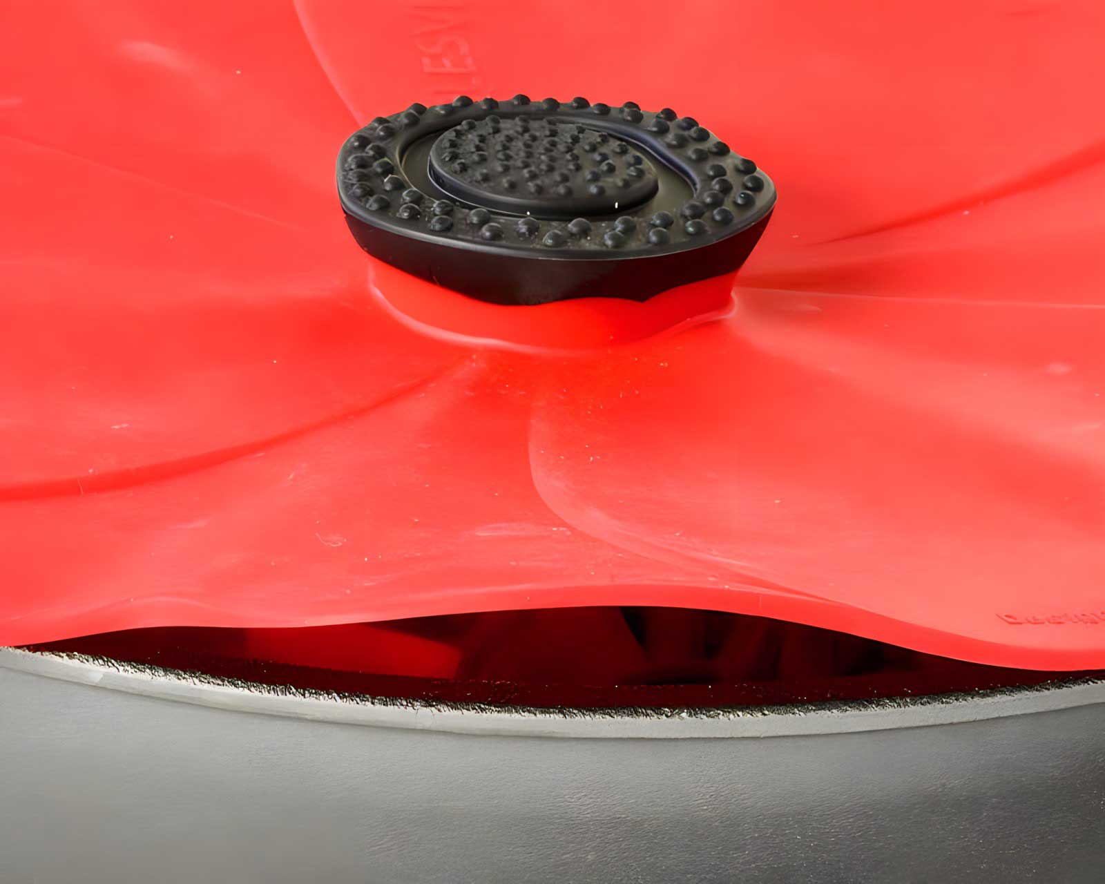Close-Up - Silicone - Poppy Lid - Charles Viancin