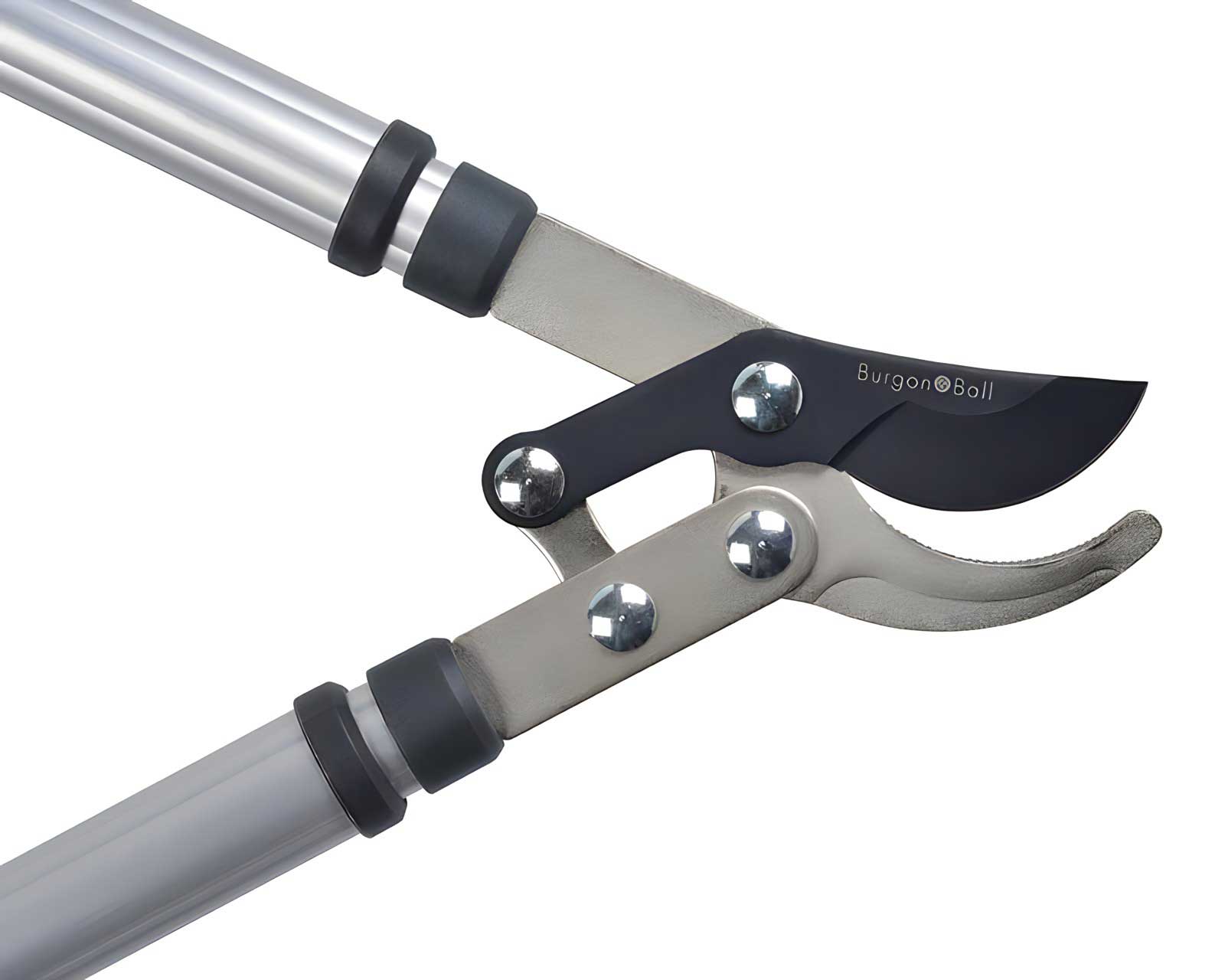 Close up of Bypass head of Telescopic Loppers by Burgon and Ball