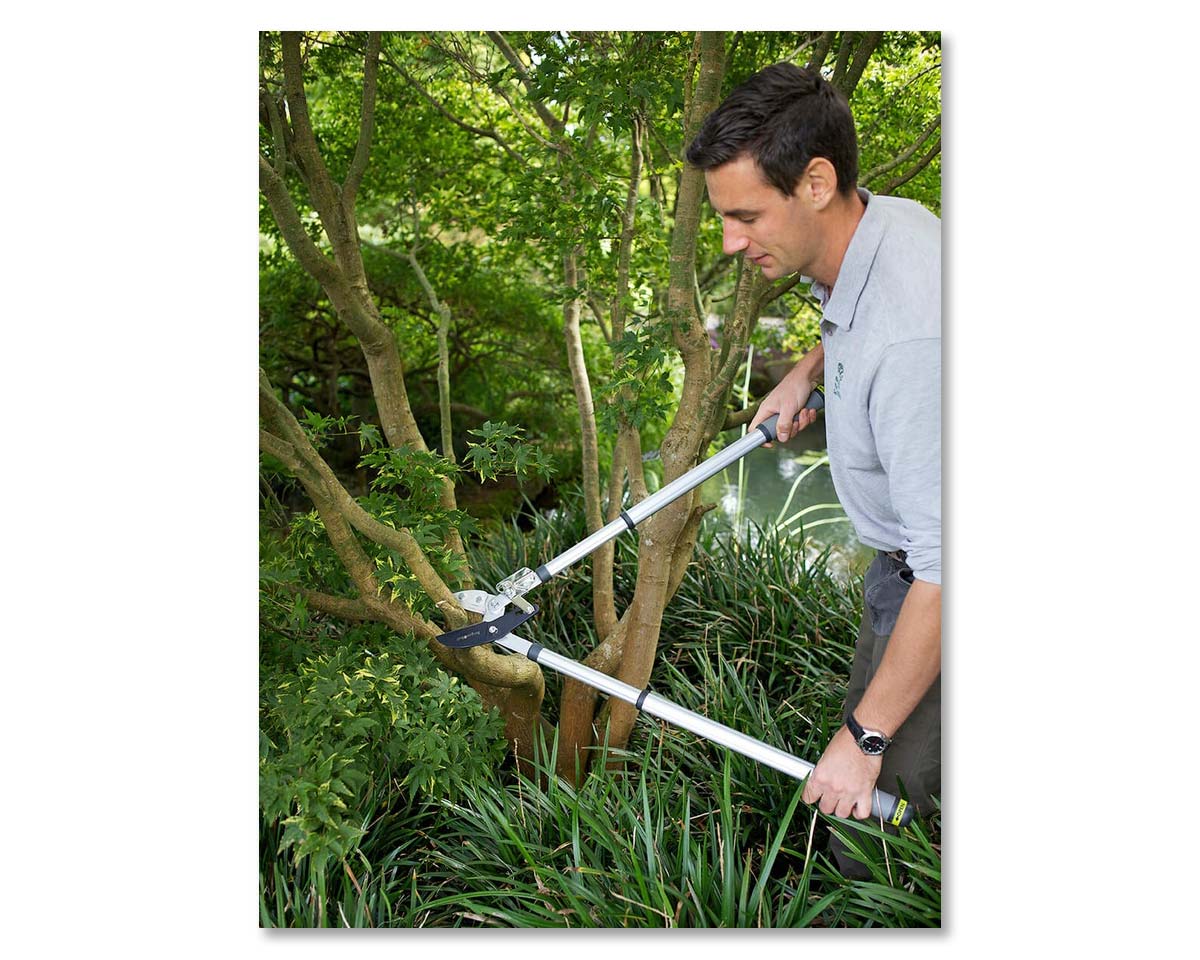 Telescopic Ratchet Loppers - RHS Endorsed by  Burgon and Ball