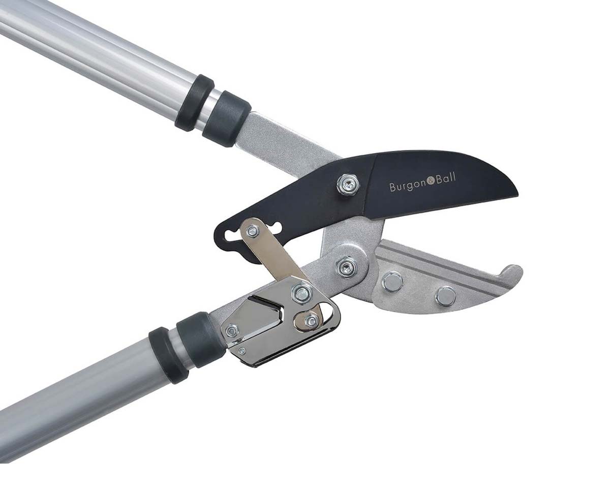 Ratchet head of Telescopic loppers by Burgon and Ball