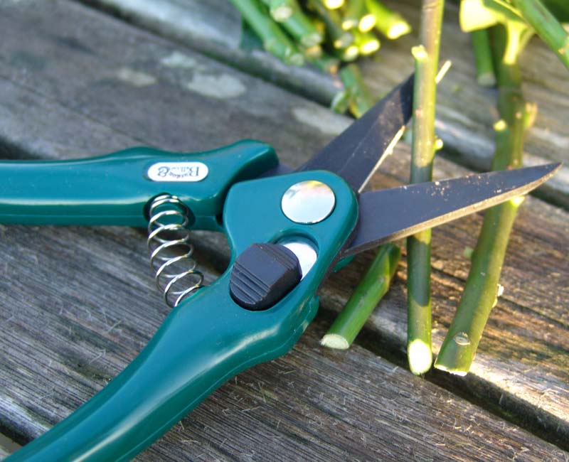 Florists' Shears by Burgon and Ball and RHS endorsed