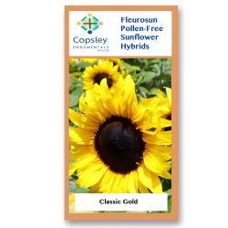 Classic Gold FleuroSun Sunflower Seeds