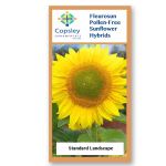 Landscape FleuroSun Sunflower Seeds