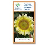 Ice Lady FleuroSun Sunflower Seeds