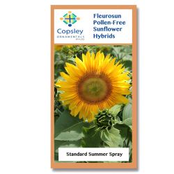 Summer Spray FleuroSun Sunflower Seeds