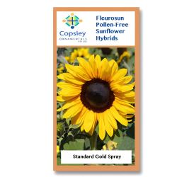 Gold Spray FleuroSun Sunflower Seeds
