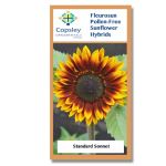 Sonnet FleuroSun Sunflower Seeds