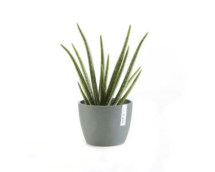 Stockholm EcoPot in Blue Grey with Aloe