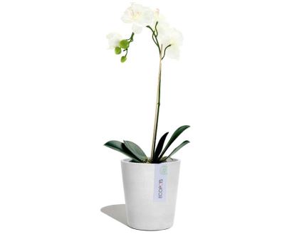 White Grey - Morinda Orchid Pot - EcoPots