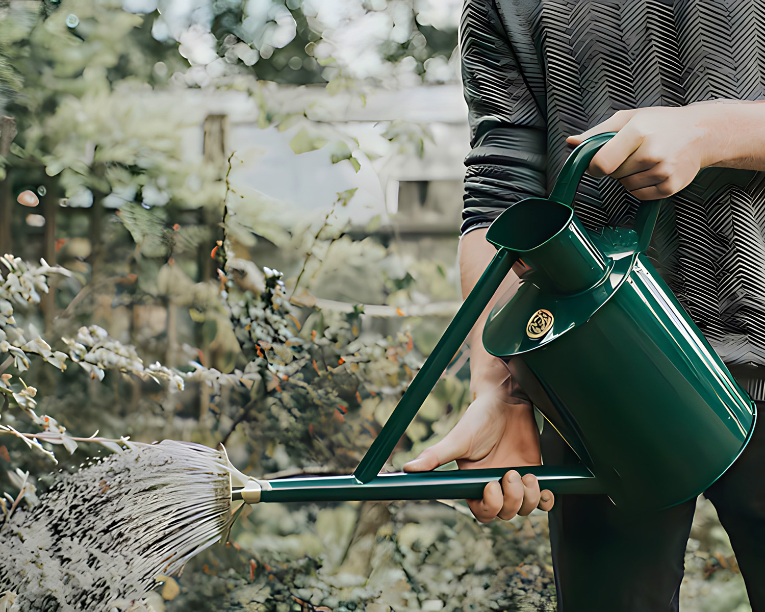 The Bearwood Brook Watering Can from Haws