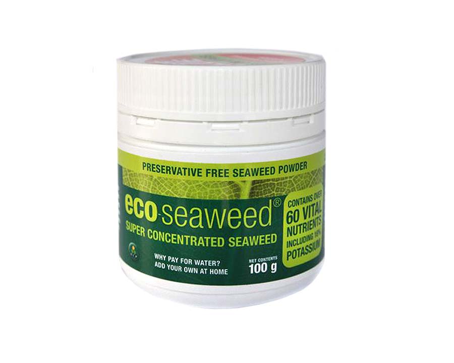 Eco seaweed