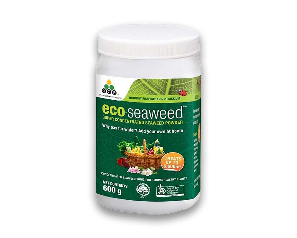 Eco seaweed concentrate 600g pack