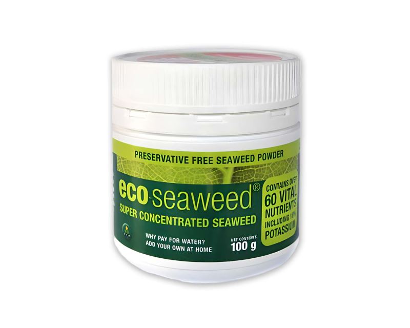 Eco seaweed