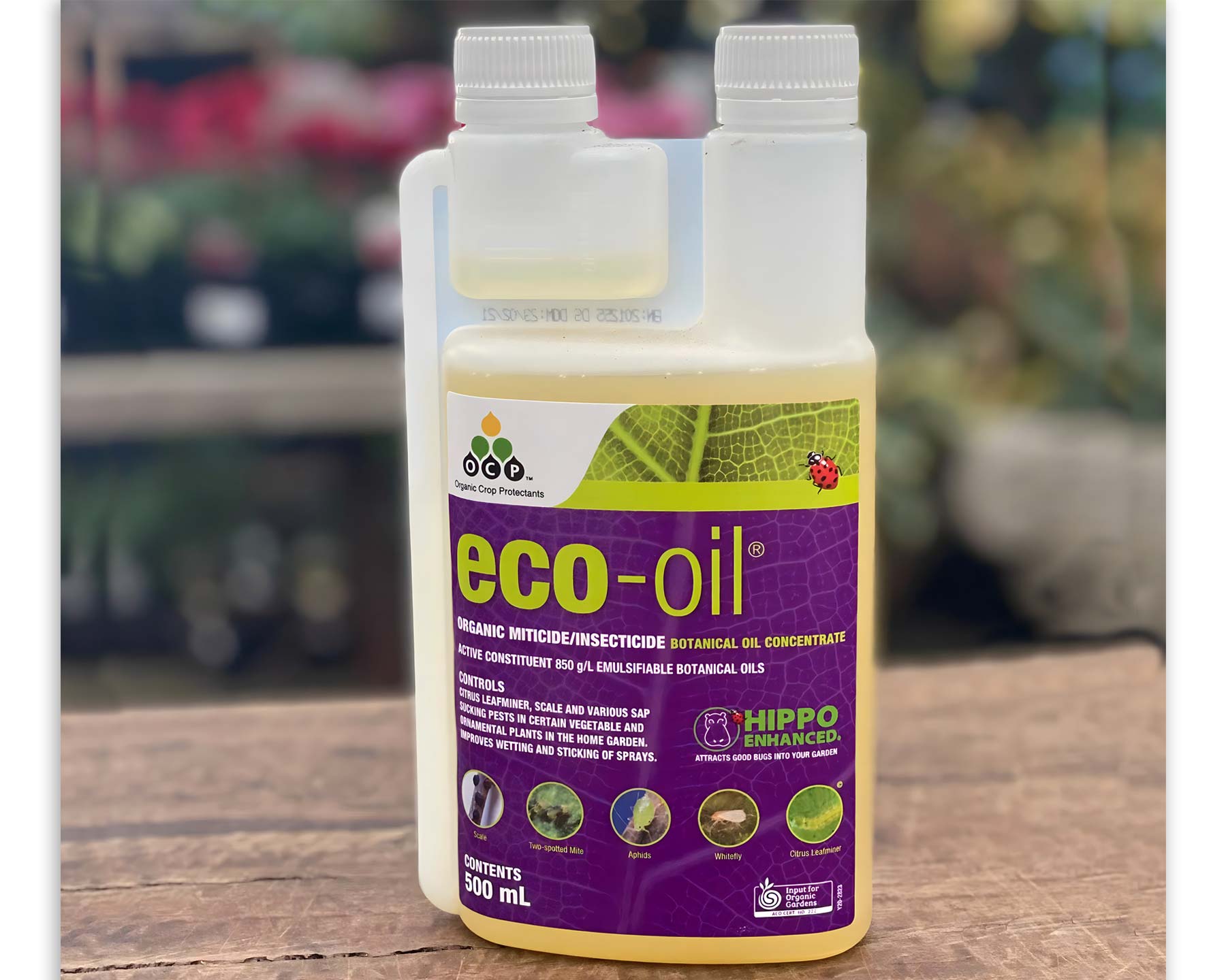 Eco-Oil - 250ml and 500ml packs