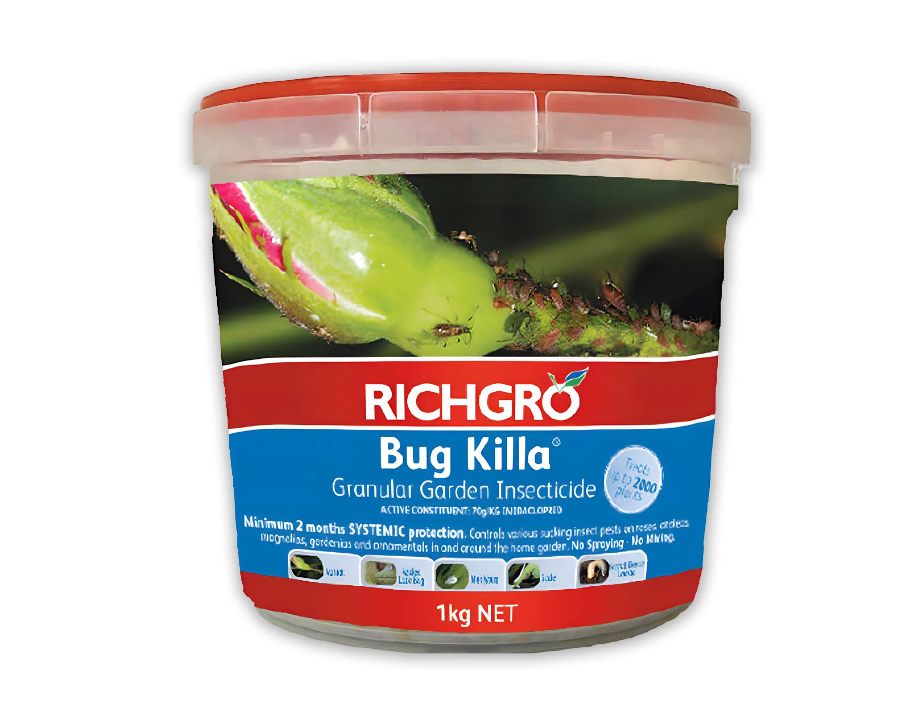 Richgro Bug Killa in 1kg pack