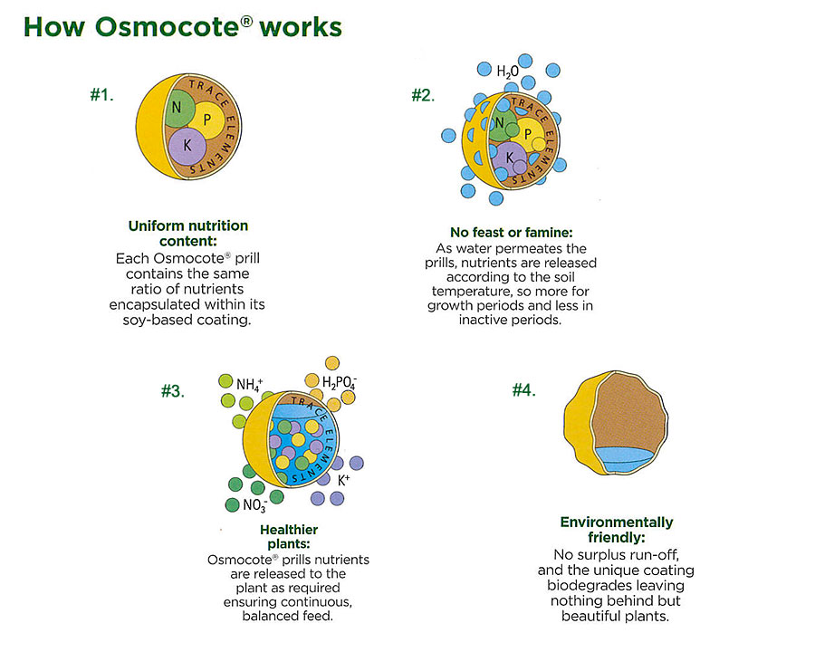 How Osmocote works