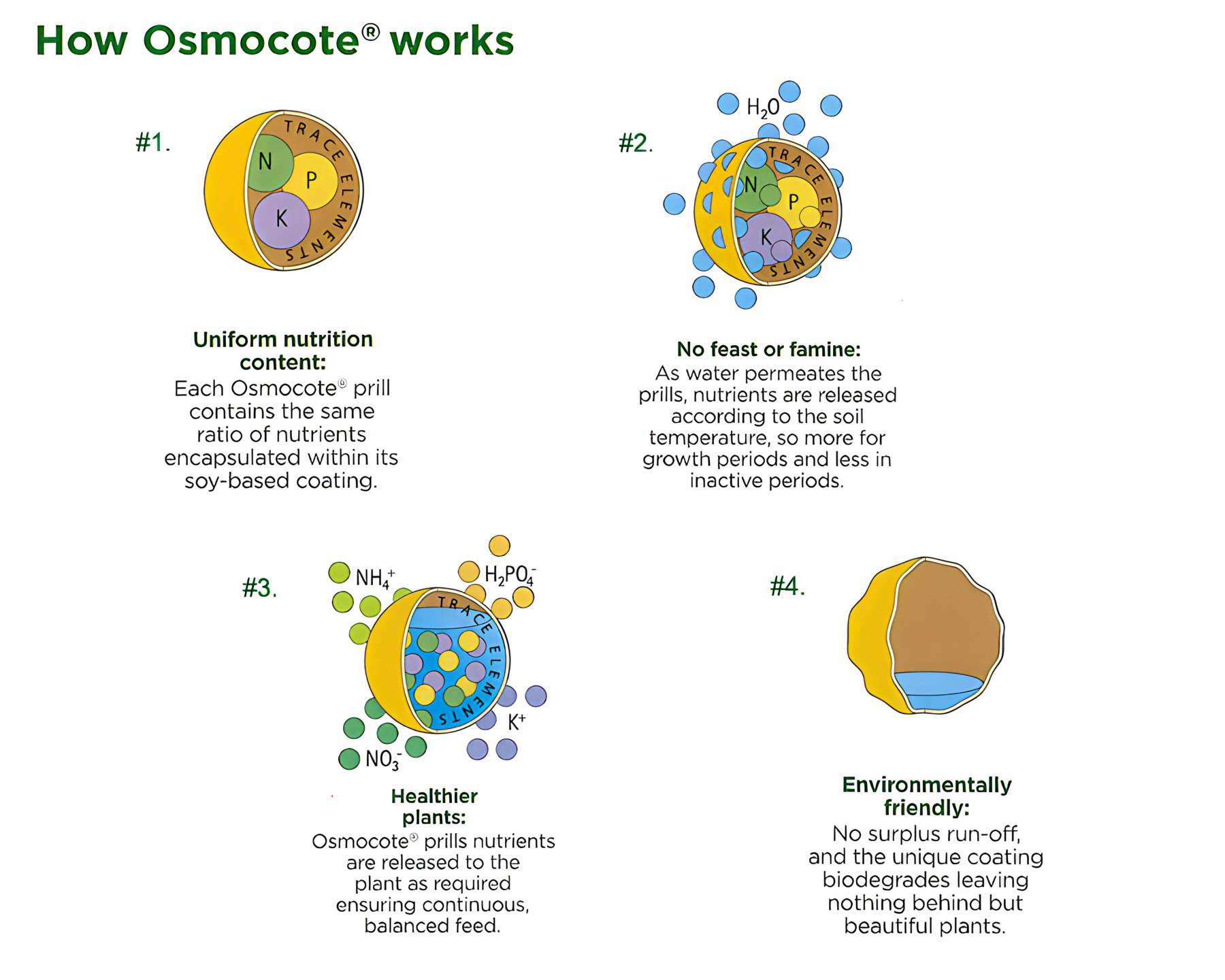 Osmocote All Purpose Plant Food