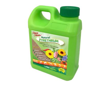 Natural Pyrethrum concentrate - Sharpshooter