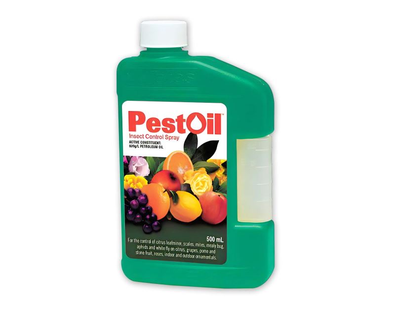 Pest Oil Concentrate - Yates