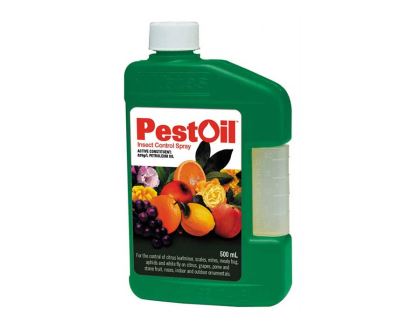 Pest Oil Concentrate - Yates